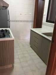 Seasons Park (D26), Condominium #156350892